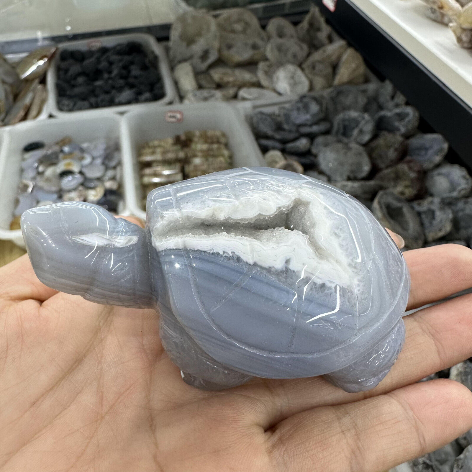 220g Natural Geode Agate Quartz Hand Carved Crystal Tortoise Skull Reiki Decor
