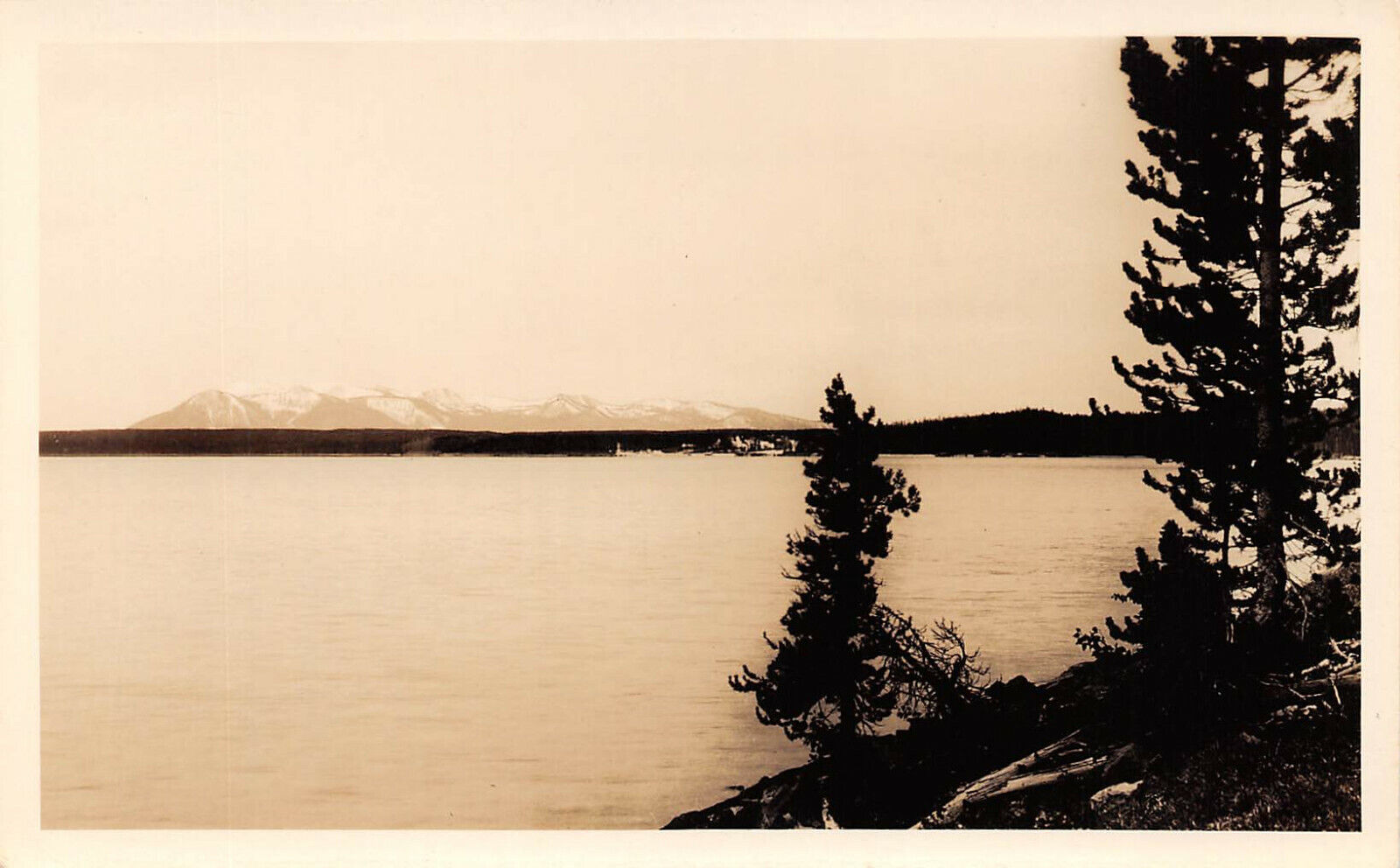 UPICK Postcard Yellowstone Lake & Mt. Sheridan Haynes RPPC 10116 Unposted c1930