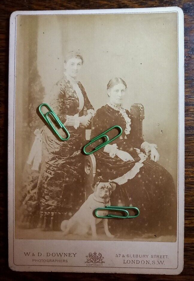 Cabinet Photo Ladies with their Pug Type Dog by W&D Downey London SW