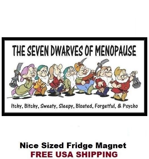 598 - Funny Menopause 7 Dwarfs Meme Elves Refrigerator Fridge Magnet
