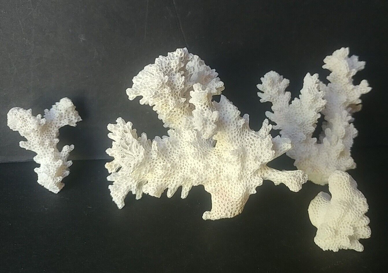 Natural White Branch Coral Reef Pieces