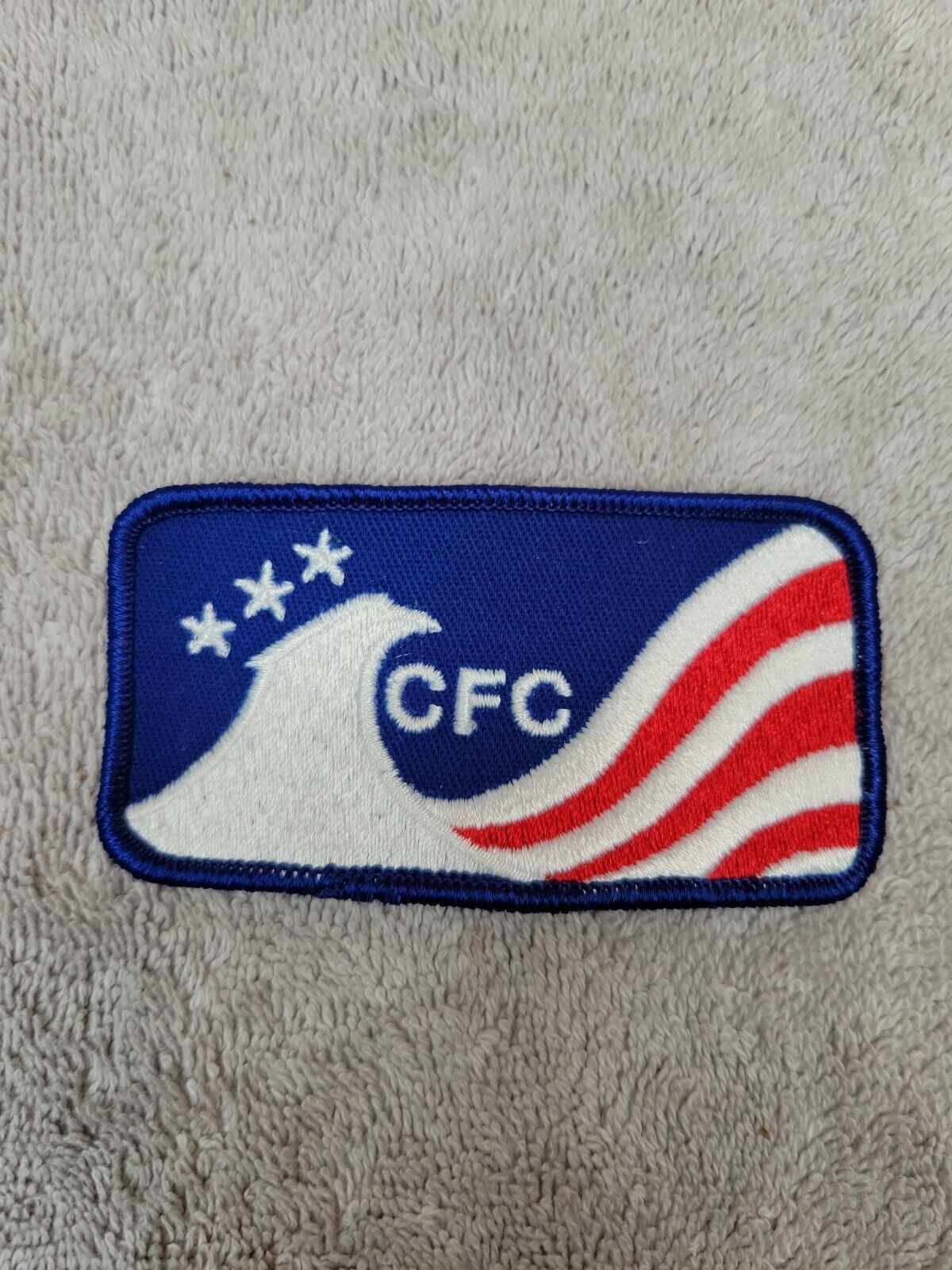 CFC American Eagle Jacket Patch - Combined Federal Campaign USA United Way Patch