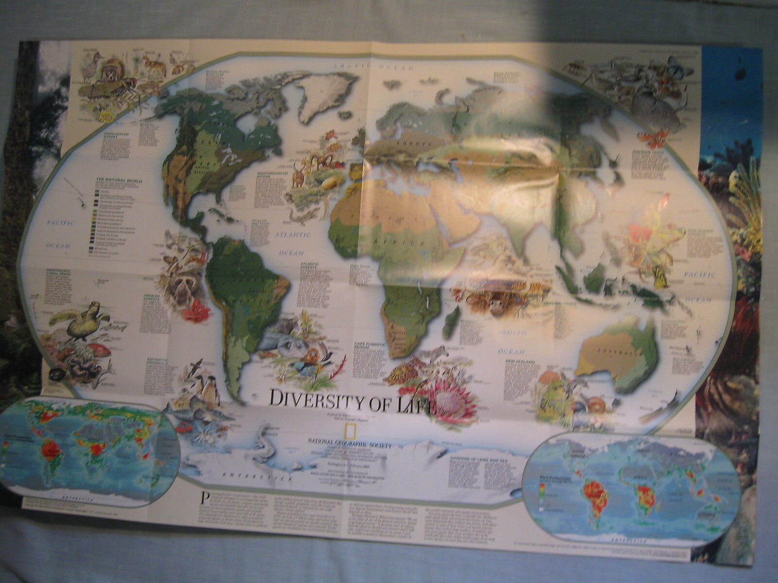 DIVERSITY OF LIFE + BIODIVERSITY WALL MAP National Geographic February 1999