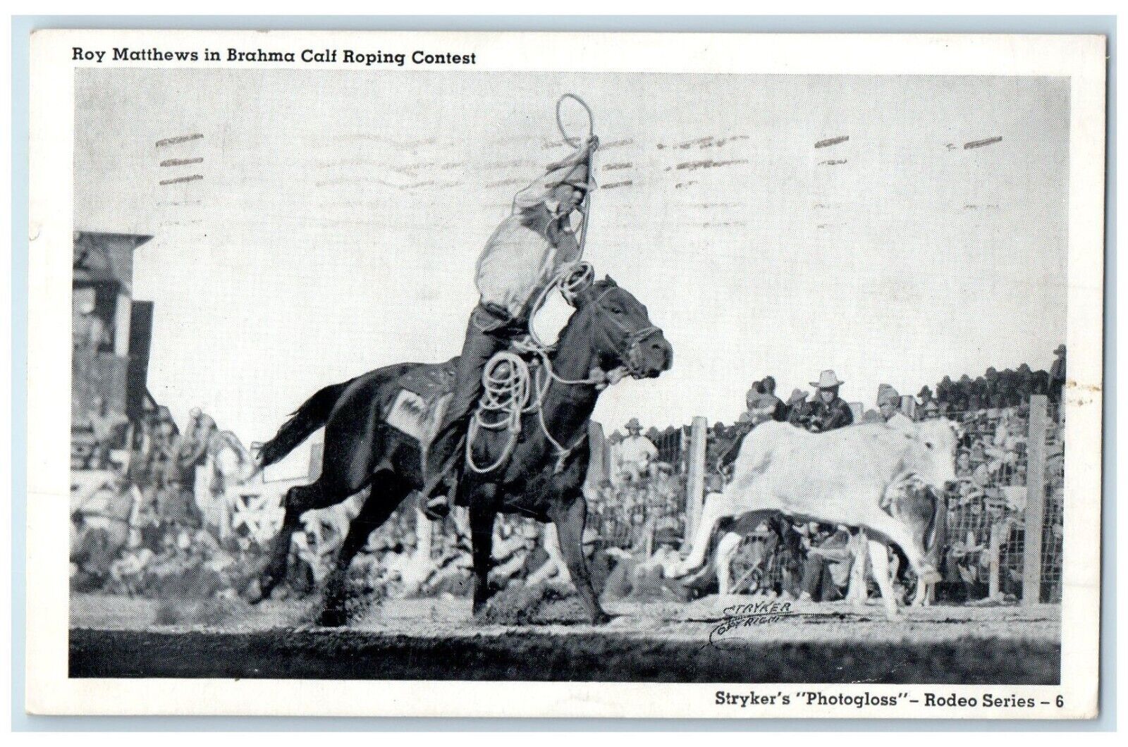 1944 Roy Matthews In Brahma Calf Roping Contest Rodeo Odessa Texas TX Postcard