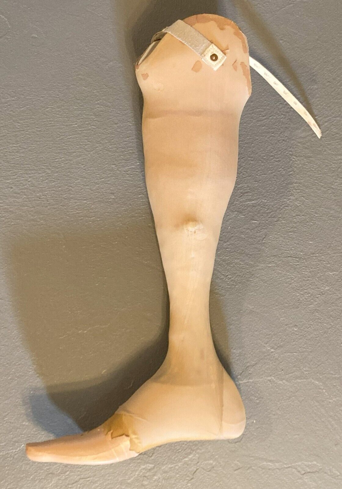 Complete Prosthetic Right Leg