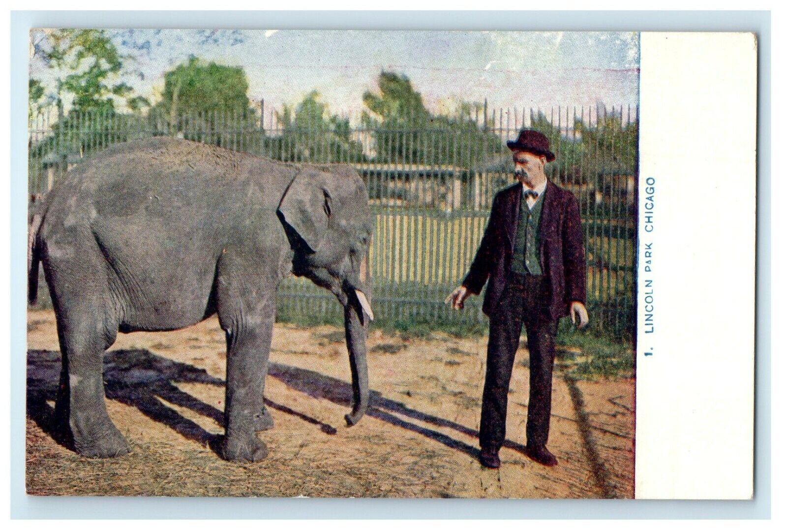 c1910's Lincoln Park Elephant Scene Chicago Illinois IL Antique Postcard