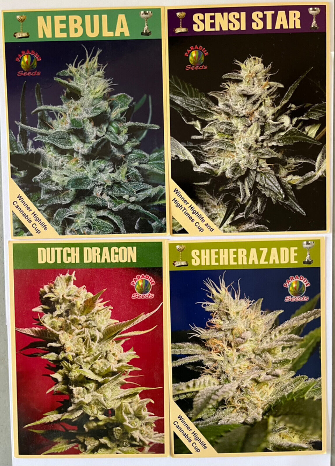 Vintage marijuana postcards Amsterdam Highlife Hightimes Cannabis Cup cause lot