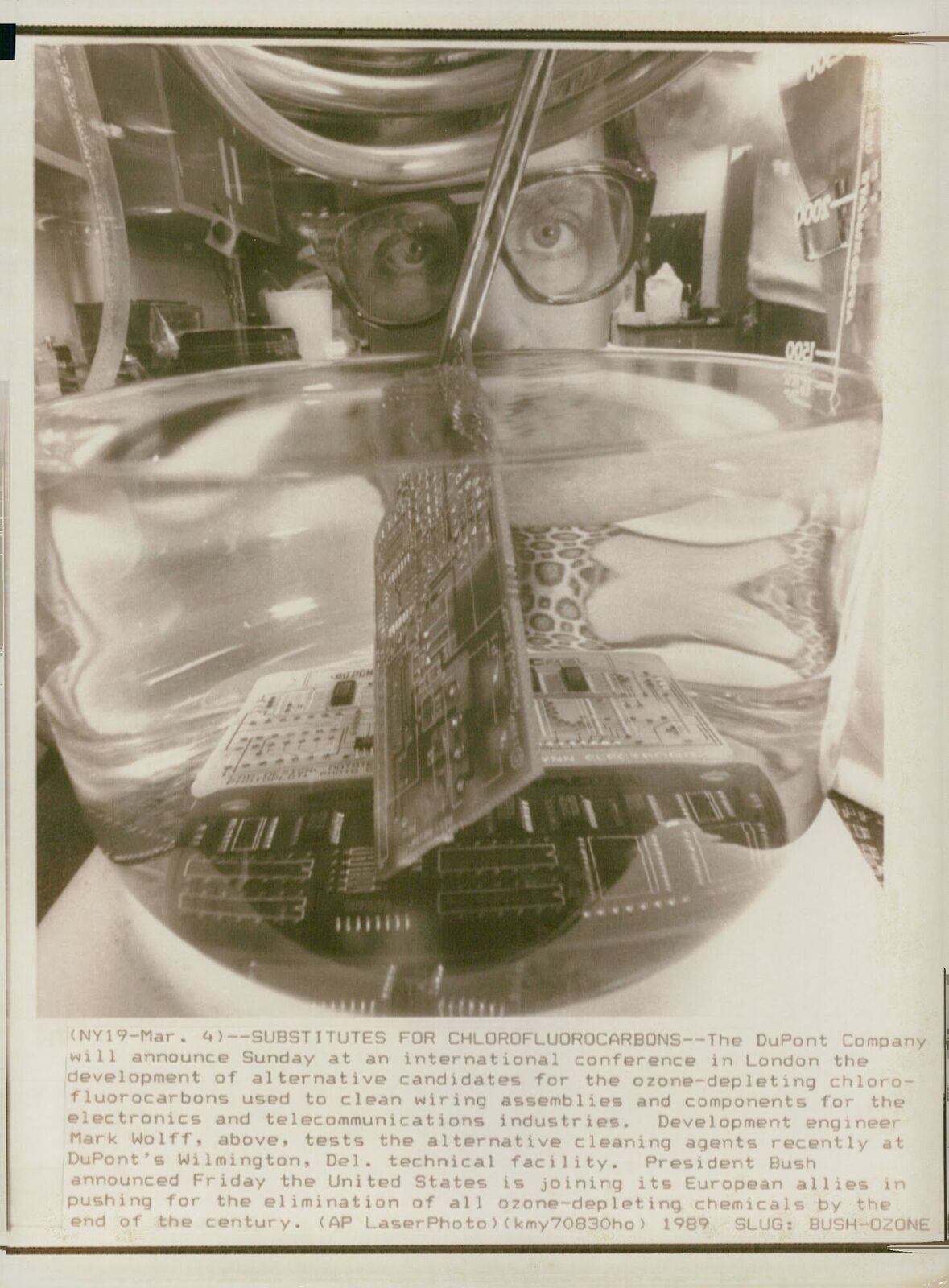 Greenhouse effect - Vintage Photograph 1540343