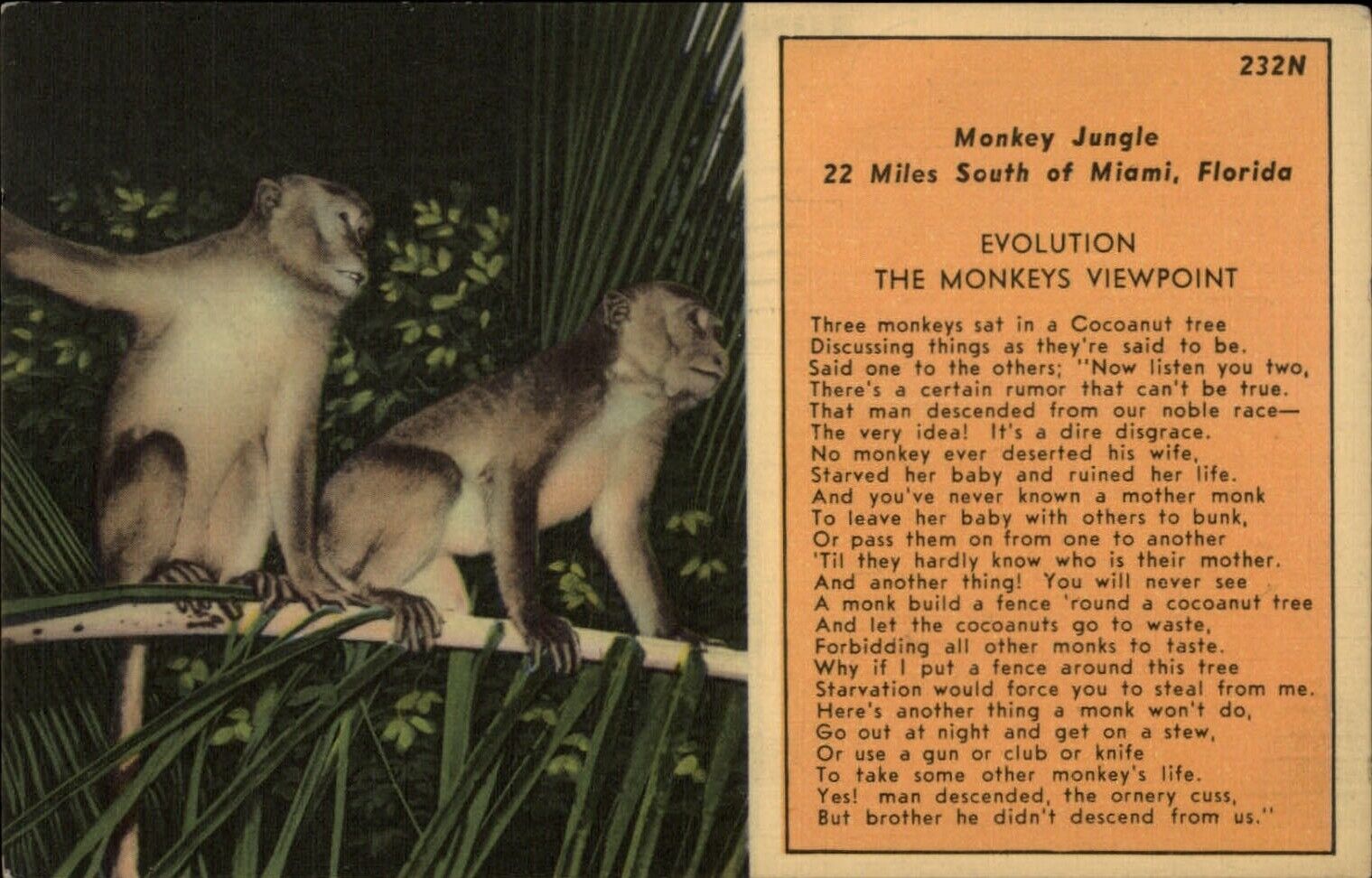Florida Miami Monkey Jungle Evolution Monkeys Viewpoint Poem ~ postcard sku963