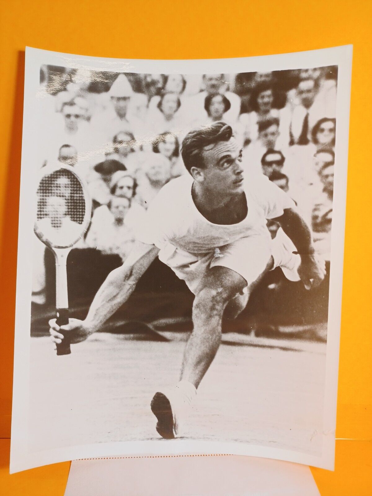 1964 Press Photo ABC 8x10 Vic Seixas Davis cup Team Photo Original Tennis