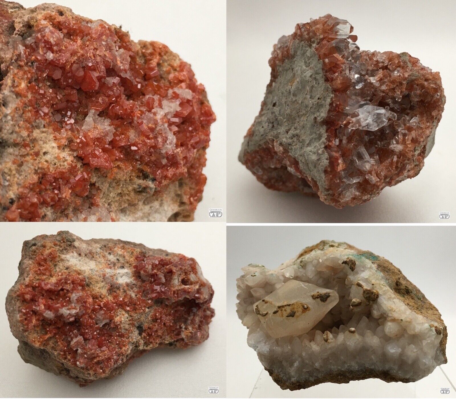 Job Lot Vanadinite Crystals Druse Selenite Needles Calcite Mineral Specimen JL1