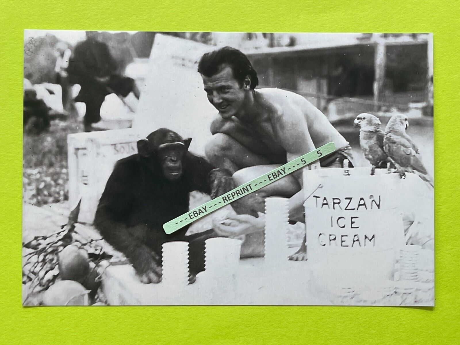 Found 4X6 PHOTO Old TARZAN Actor Ron Ely & Chimpanzee Chimp Monkey Ice Cream