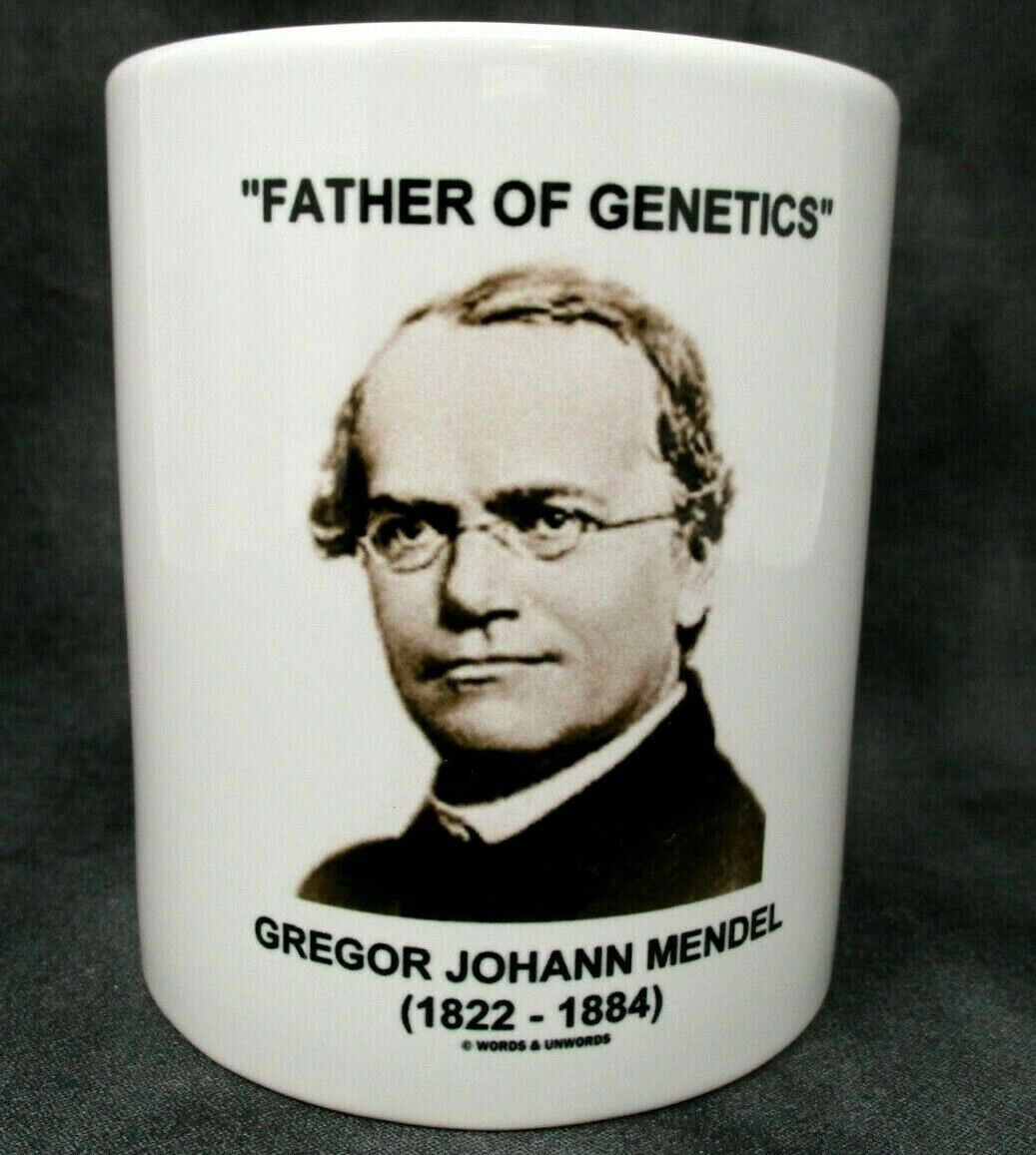 MENDEL Father of Genetics Science Coffee Cup Mug