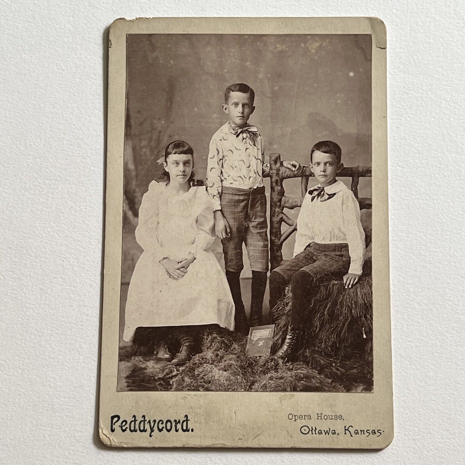 Antique Cabinet Card Photograph Adorable Children Boys Girl Book Ottawa KS