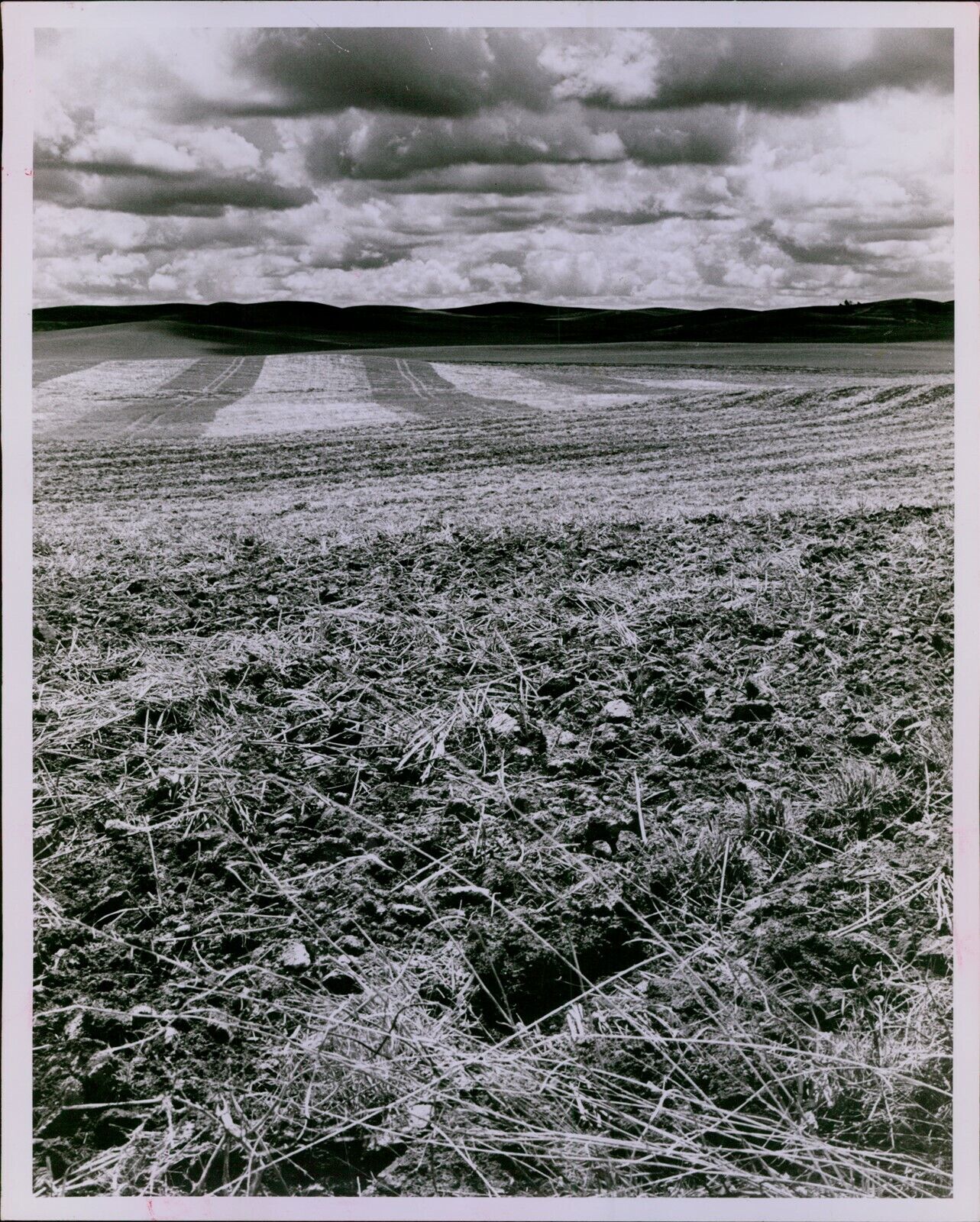 LG848 '81 Original Roy Scully Photo LAYER OF WIND DEPOSITED PALOUSE SOIL Erosion