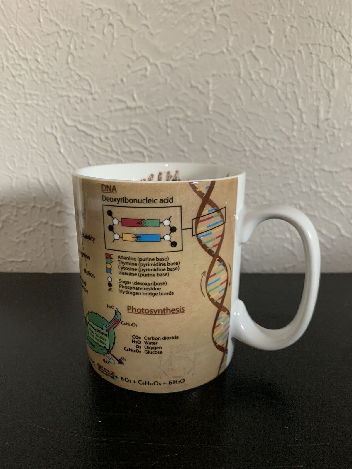 Konitz Biology Coffee Mug Cup Cells Evolution DNA Photosynthesis