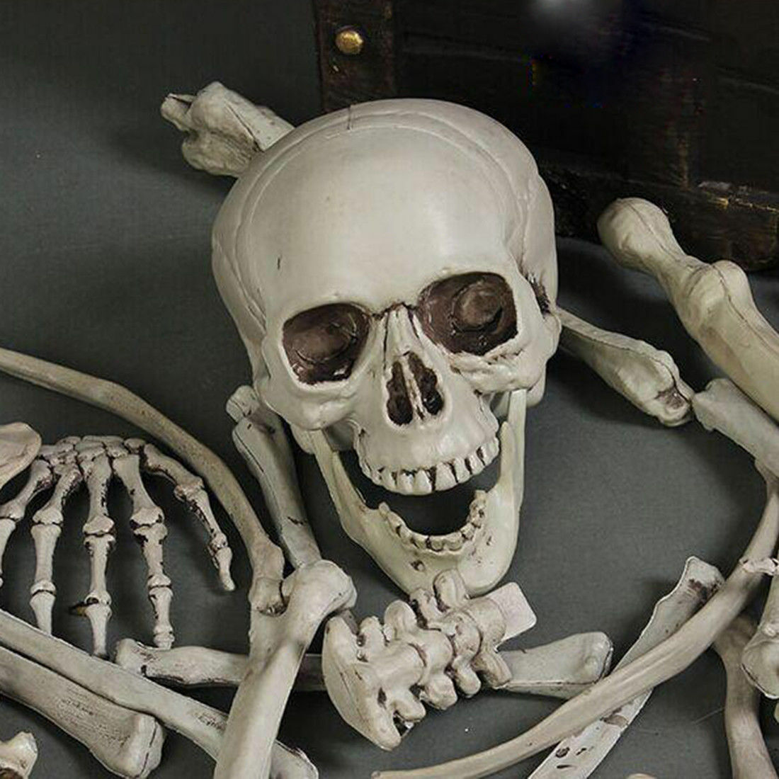 28pcs Skeleton Bones Skull Set Prop Halloween Party Decor Horror Haunted House