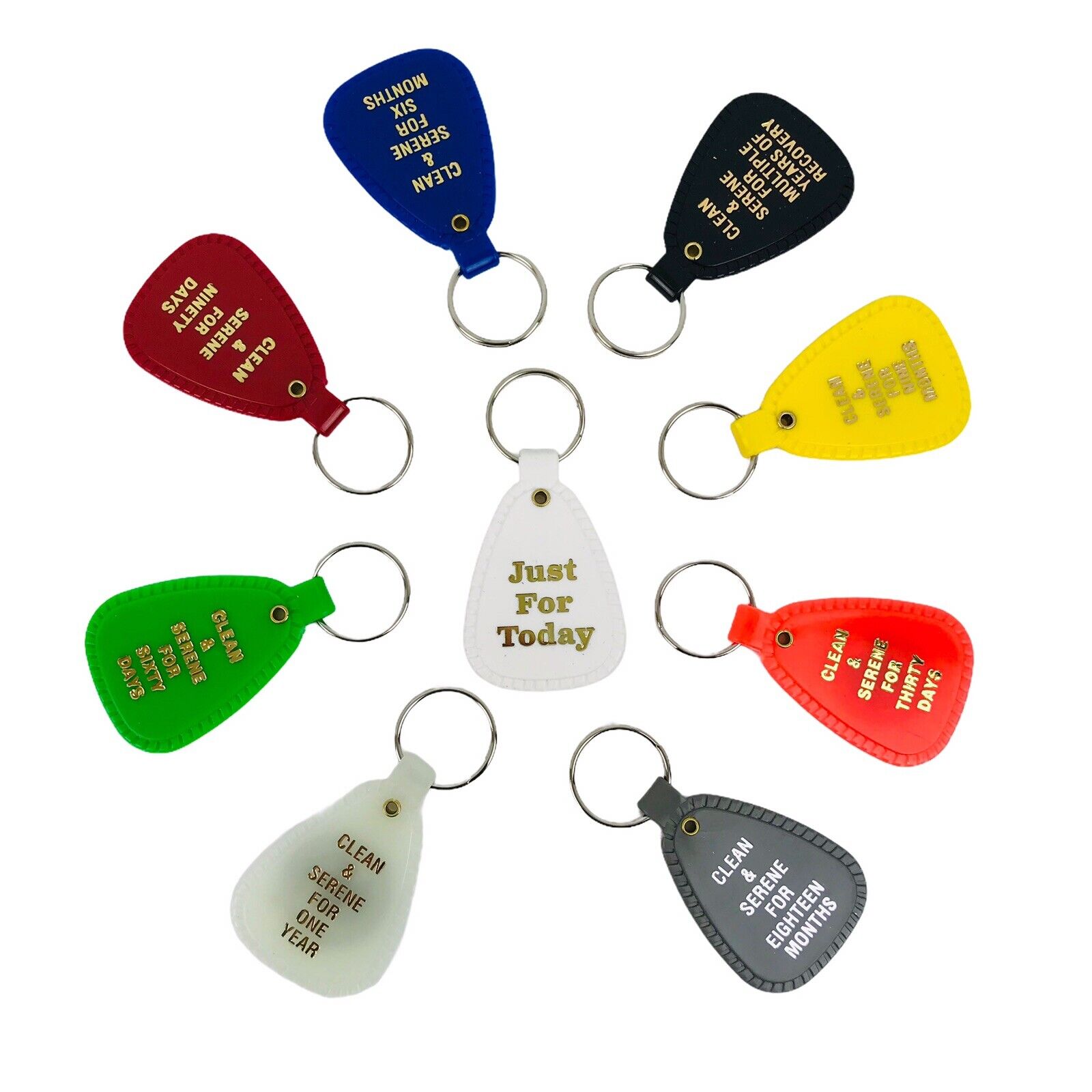 Narcotics Anonymous  NA Key Tag Ring  Recovery Keytag 9 Piece English