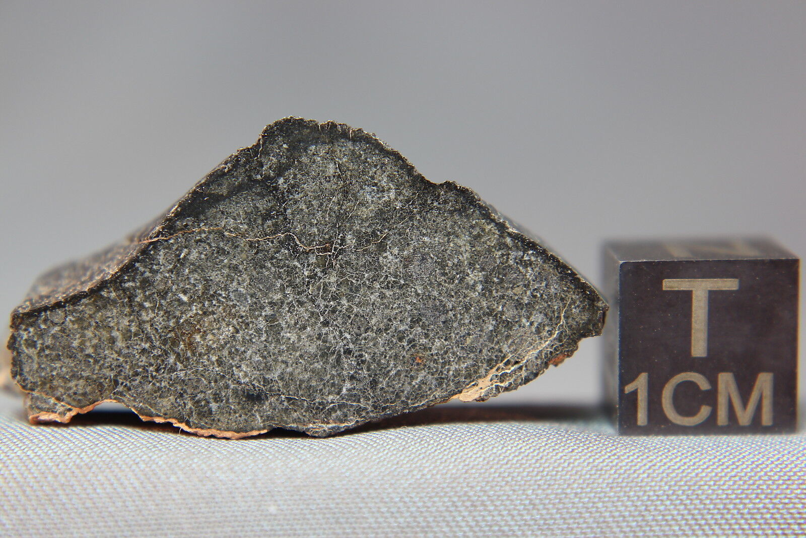 NWA 8670 CK6 Meteorite 11.8 gram main mass