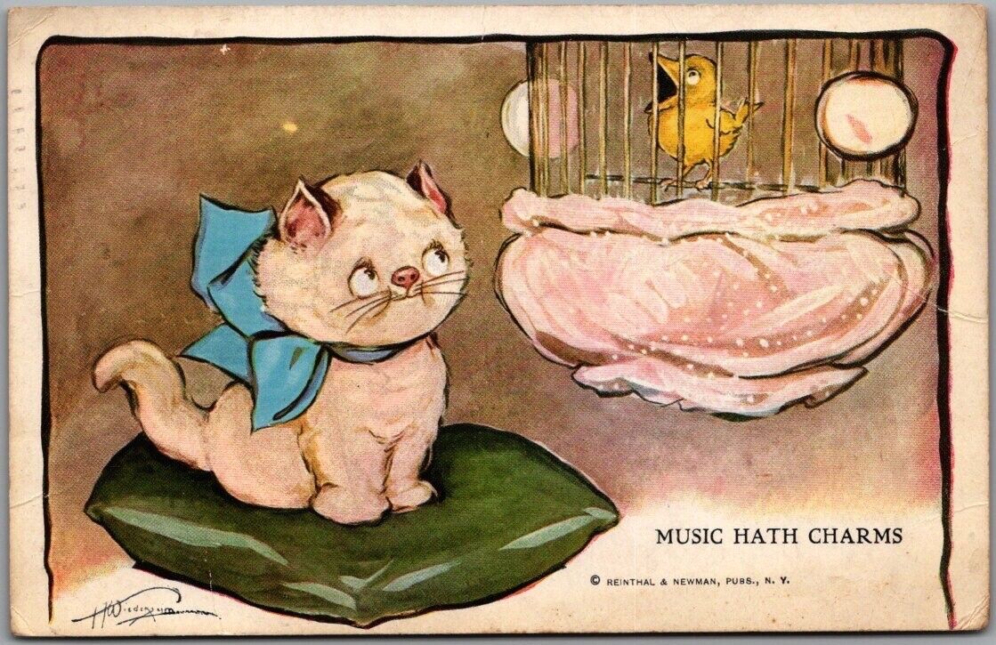 Vintage CAT Animal Comic Postcard \