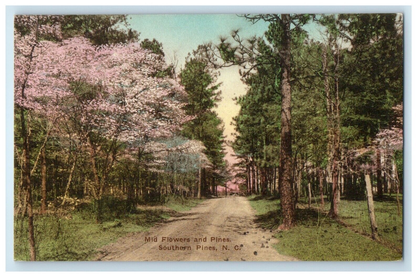 c1920's Flowers Pine Trees Southern Pines North Carolina NC Handcolored Postcard