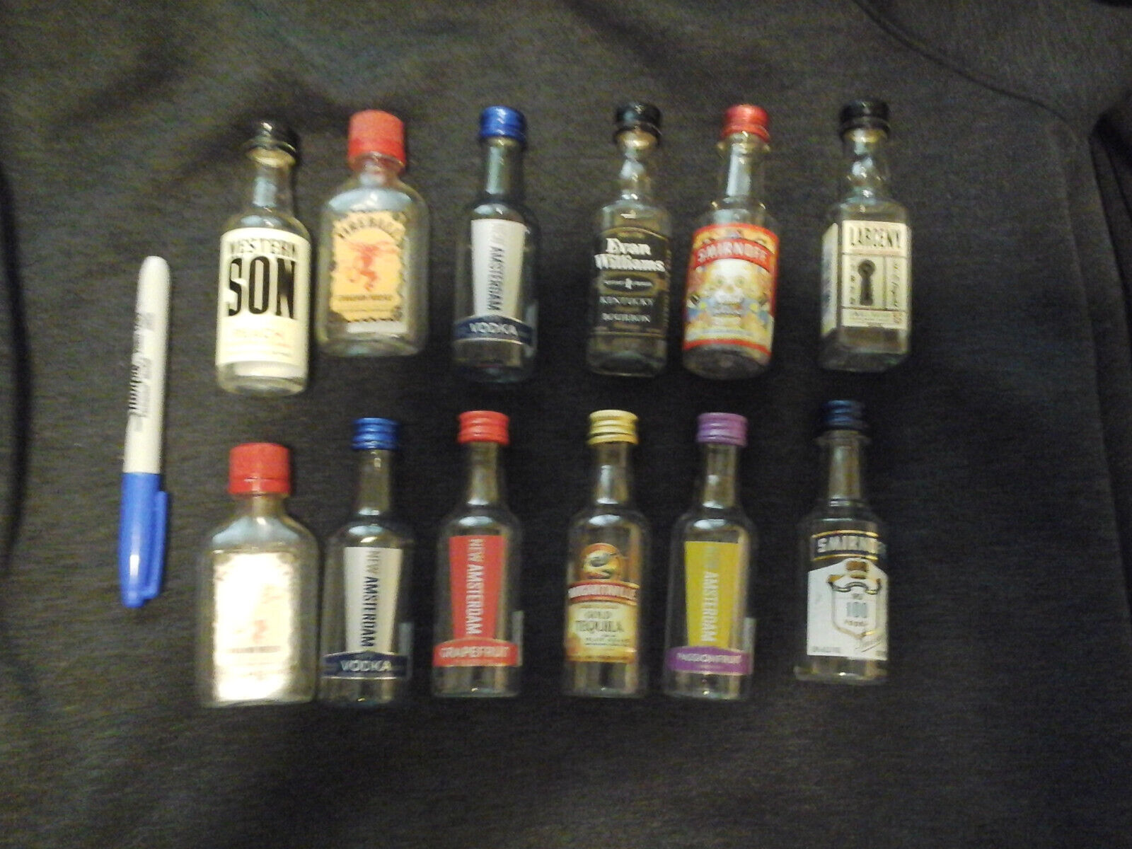 Lot of 12 Random EMPTY Transportation/Airline Mini Liquor Bottles Some Local HTF