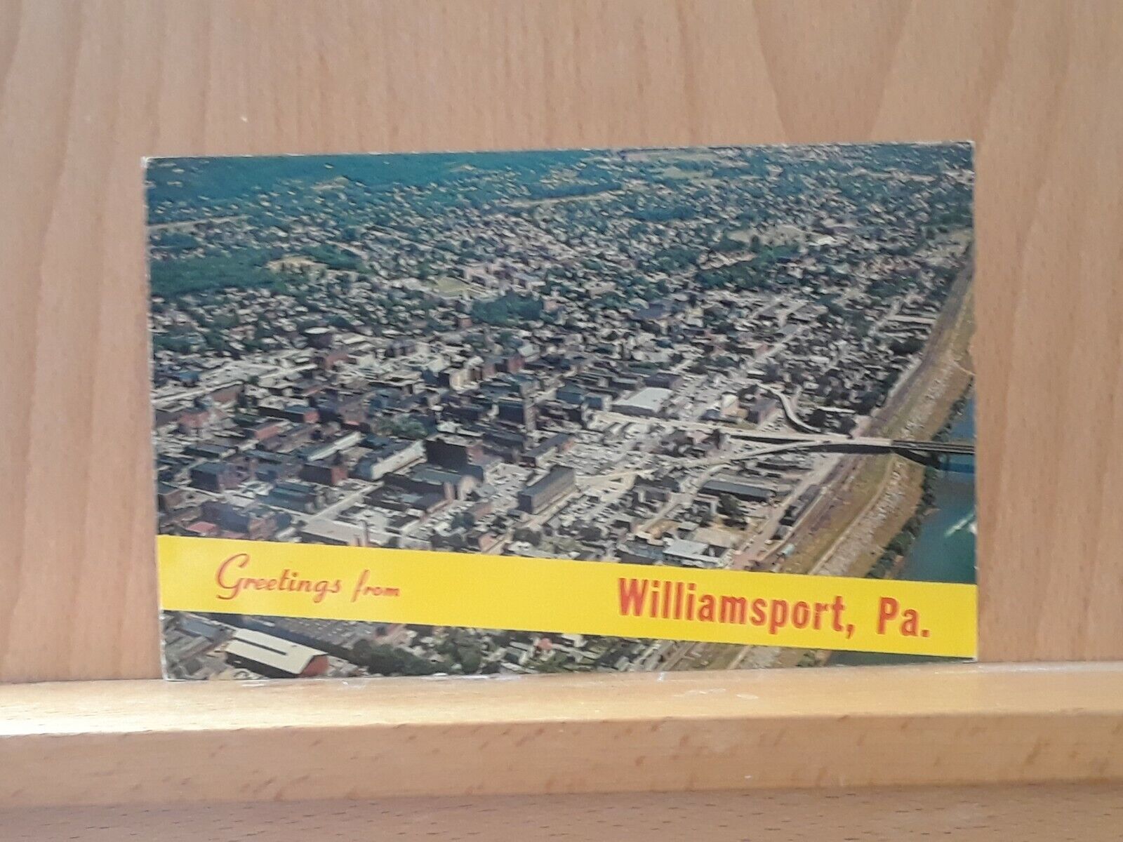 Post card Greetings from Williamsport, Pennsylvania 