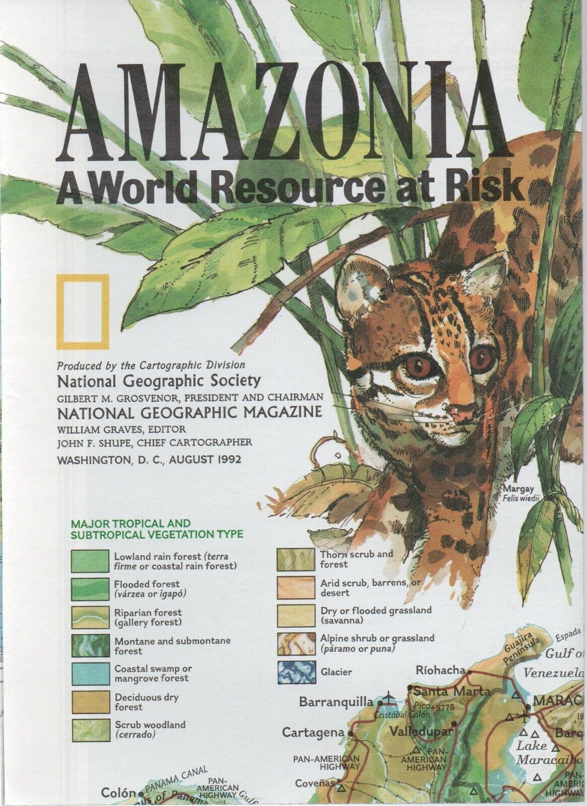 ⫸ AMAZONIA World Resource at Risk National Geographic Map 1992 Vintage
