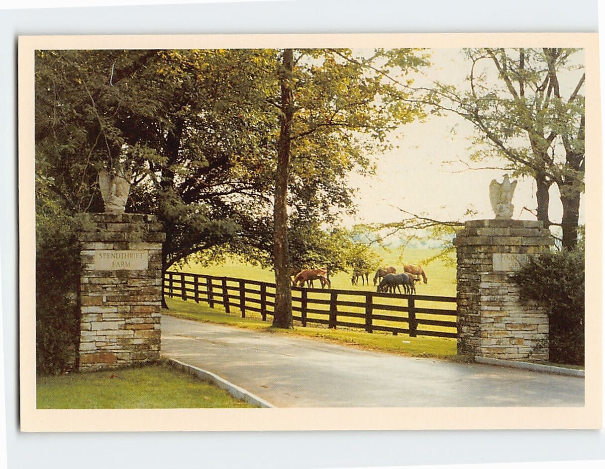 Postcard Spendthrift Farm Gates Lexington Kentucky USA