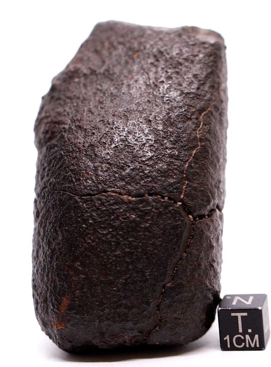 Meteorite NWA Chondrite Meteorite 294 grams