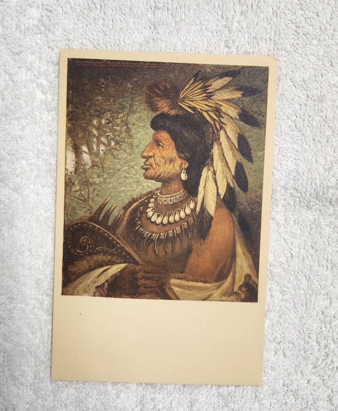 Postcard Native American Indian Boonark Chieftain Bannock Shoshone Tribe 
