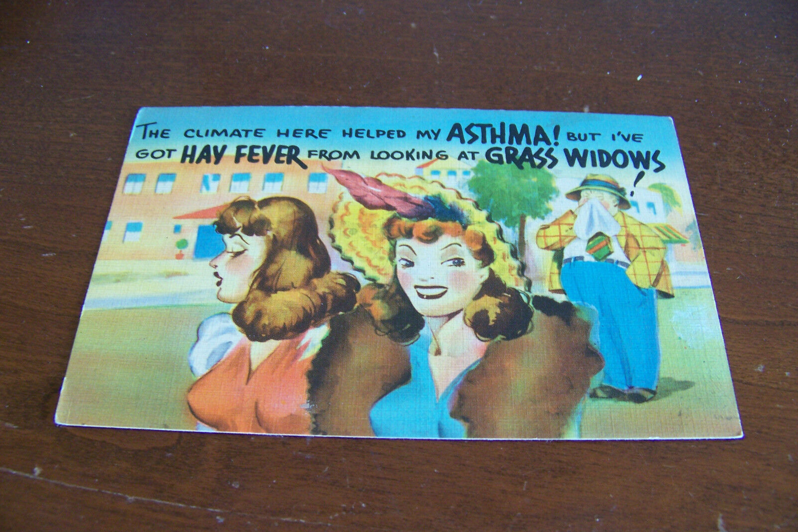 Rare Vintage Antique Postcard Humorous Comic Funny Climate Widows Ladies Girls