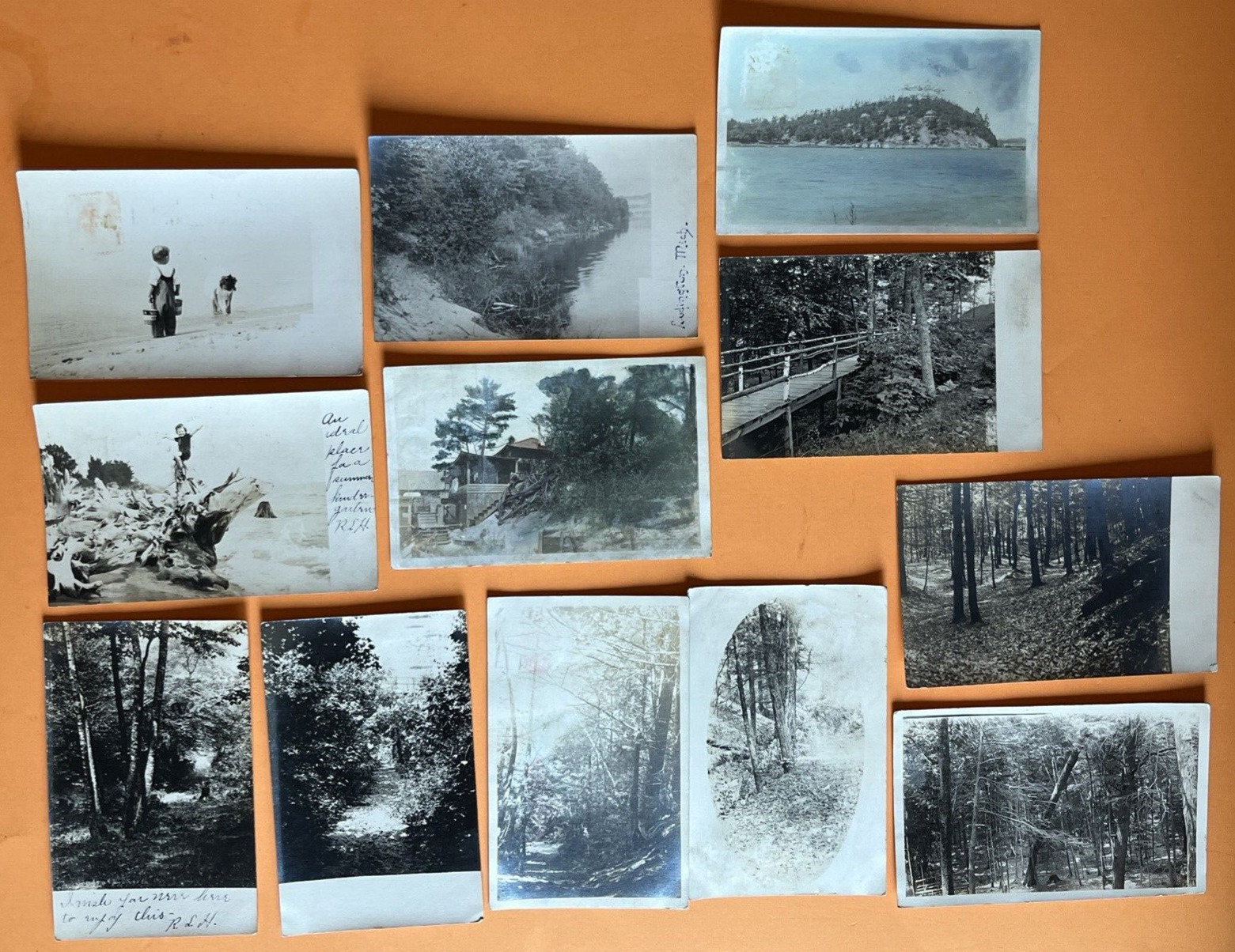Lot of 12 Ludington MI RPPC Vintage Postcards, Mostly Scenic, Postmarked 1907-12