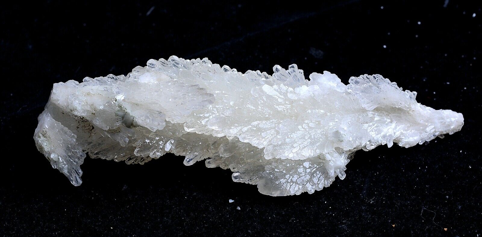 88g Natural Beautiful “Angel Wings” White Calcite Mineral Specimen/China