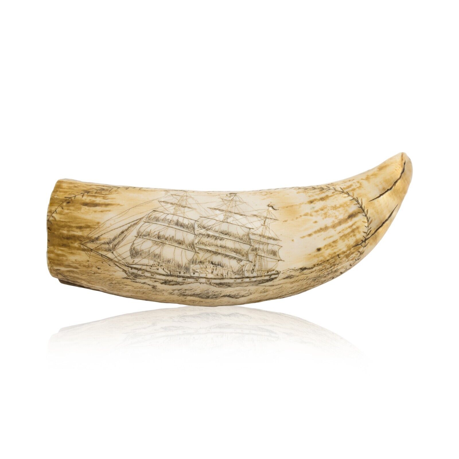 Faux Sperm Whale Resin Tooth