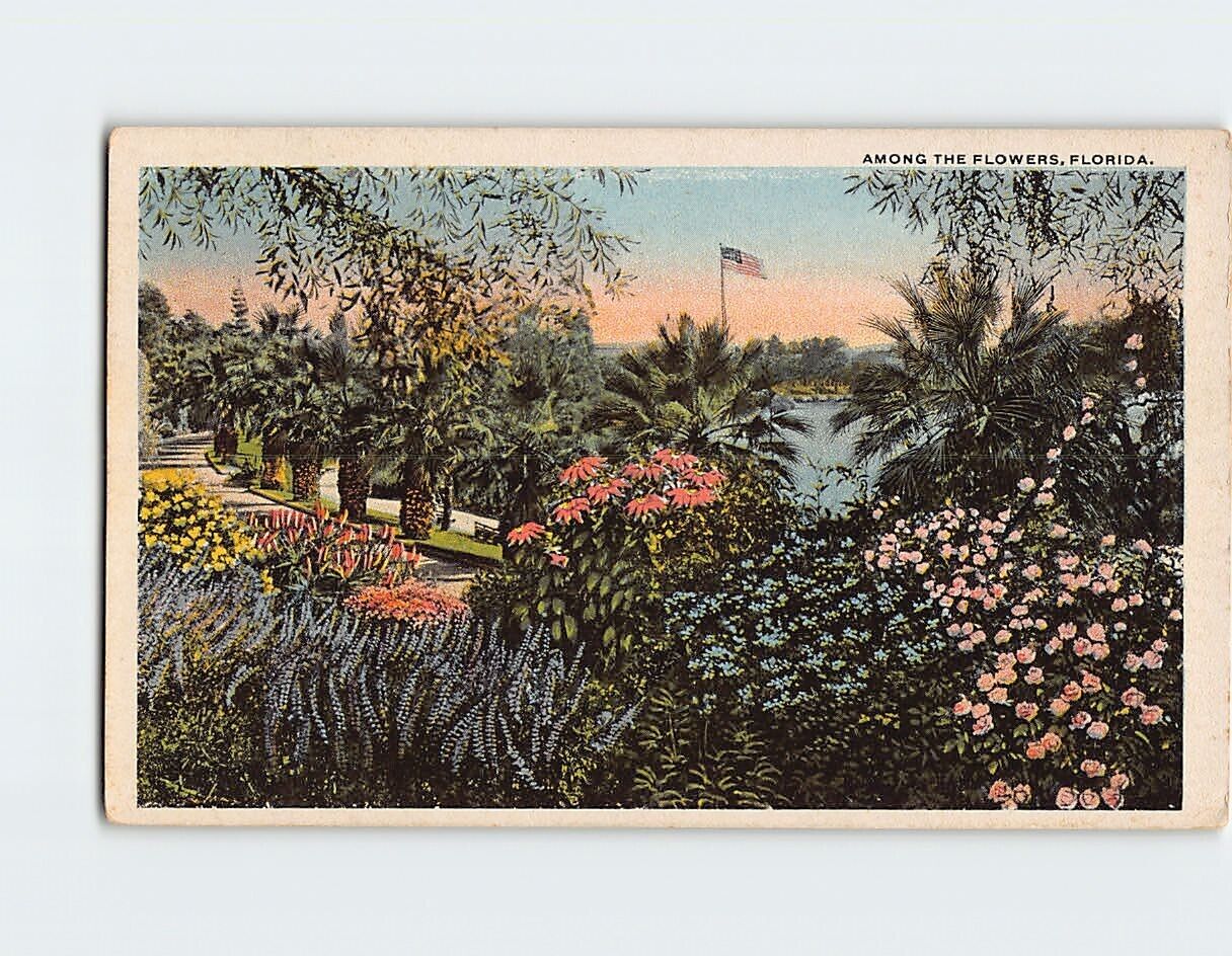 Postcard Among The Flowers Florida USA