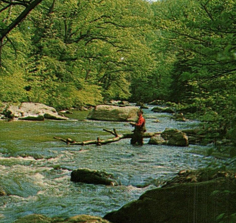 Postcard Fishing in Vintage NJ 💥 Raritan River Hunterdon County 💥