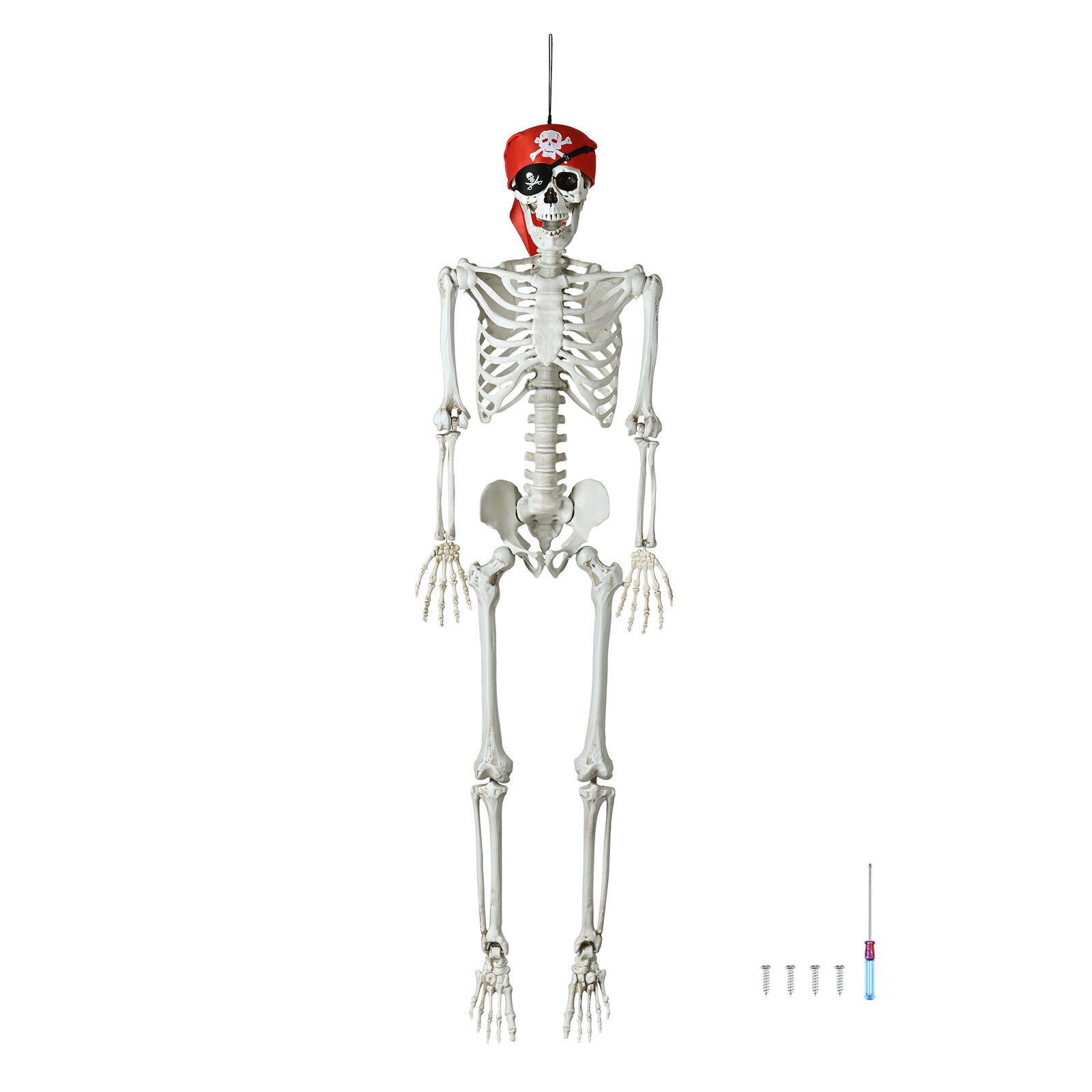5.4' Full Body Skeleton Prop Poseable Joints Halloween Decor Human Anatomy Model