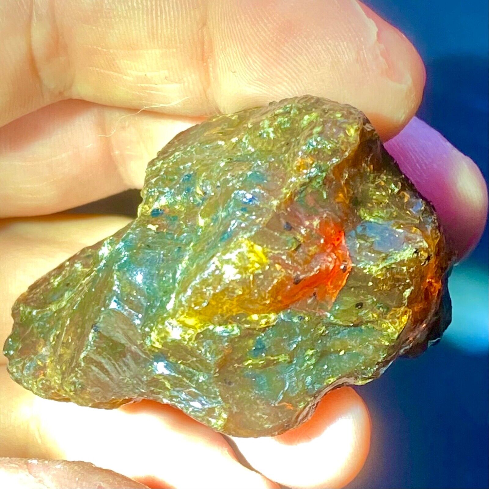 UV Active Indonesian Copal Amber Tree Resin Raw Rough Crystal Natural Mineral 