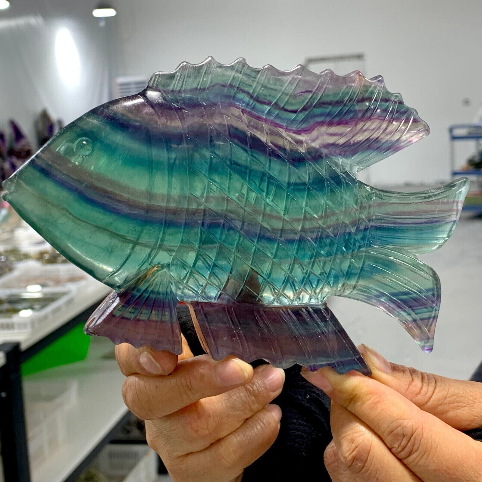 1.12LB Natural beautiful Colours Fluorite Crystal Carving fish Sculpture healing