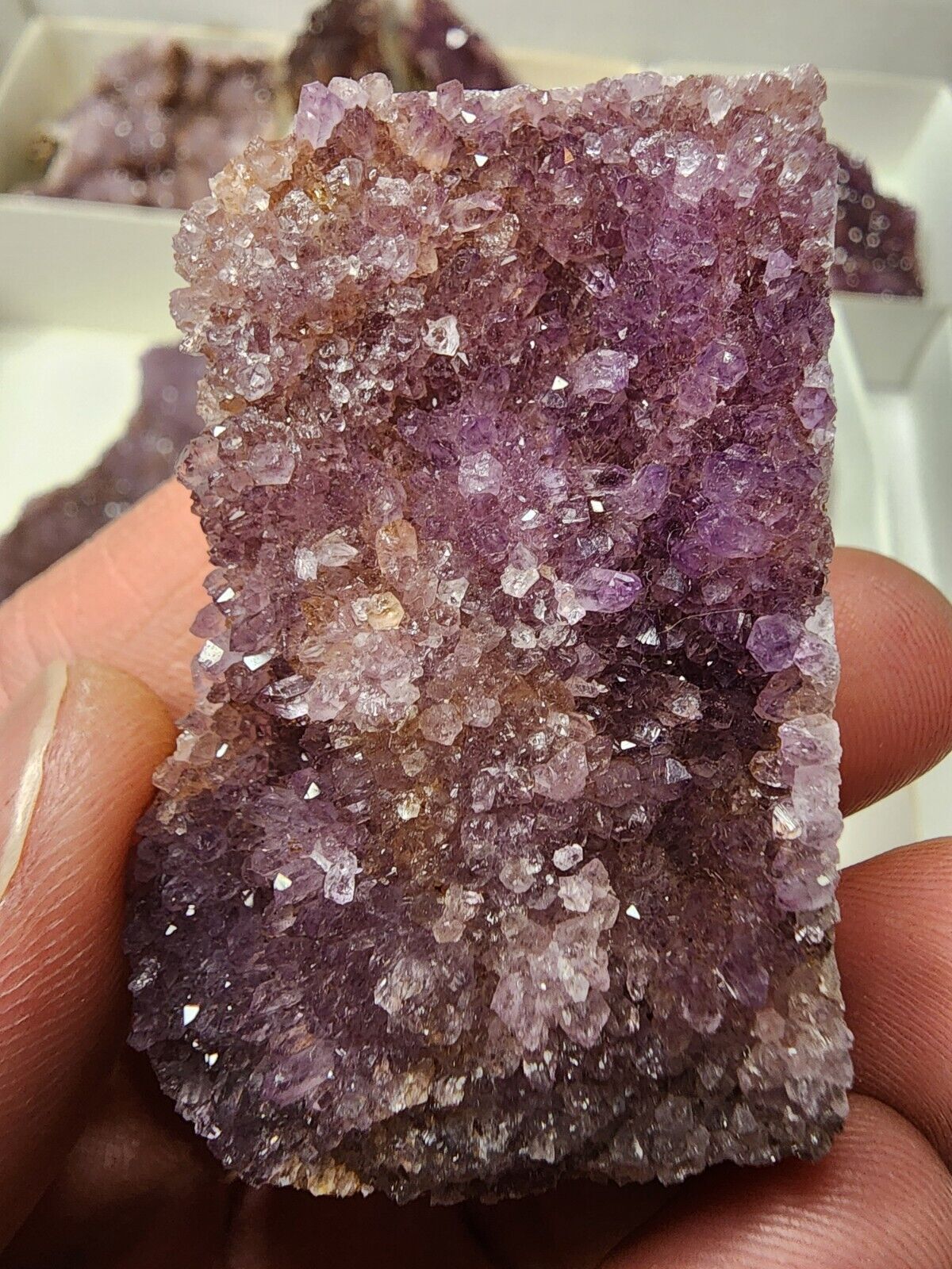 Turkish Amethyst Cluster 1 Pieces Large