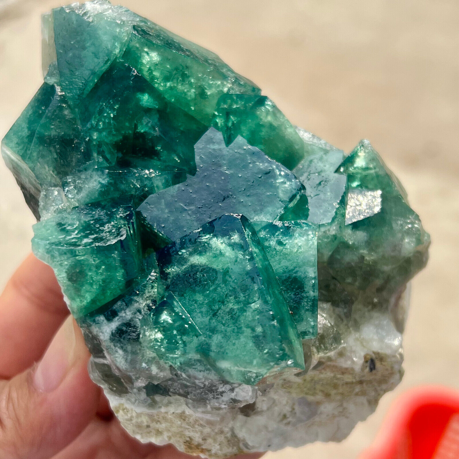 469G NATURAL Green FLUORITE Quartz Crystal Cluster Mineral Specimen. 