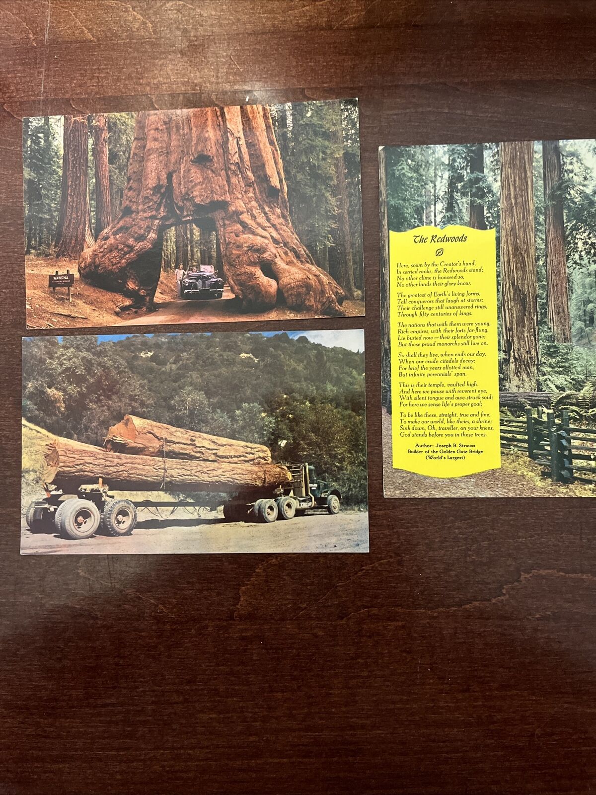 Vintage California Redwoods Postcards