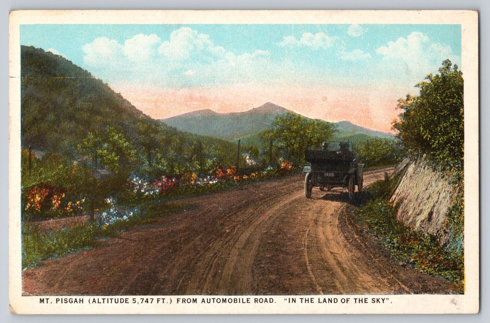Postcard North Carolina Mt. Pisgah From Automobile Road Land Of The Sky Unposted