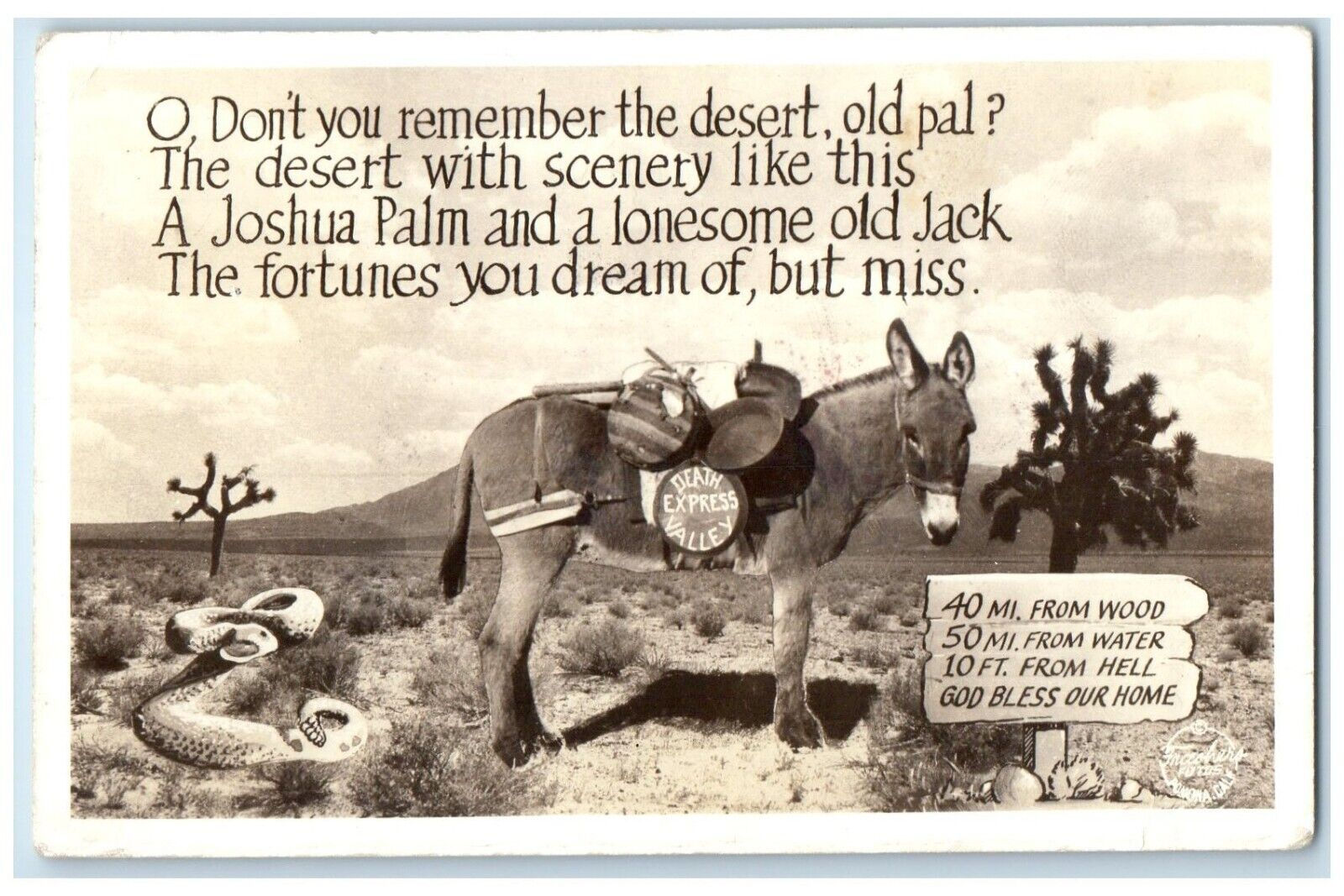 1938 Death Express Valley Horse Snake Lovelock NV Frashers RPPC Photo Postcard