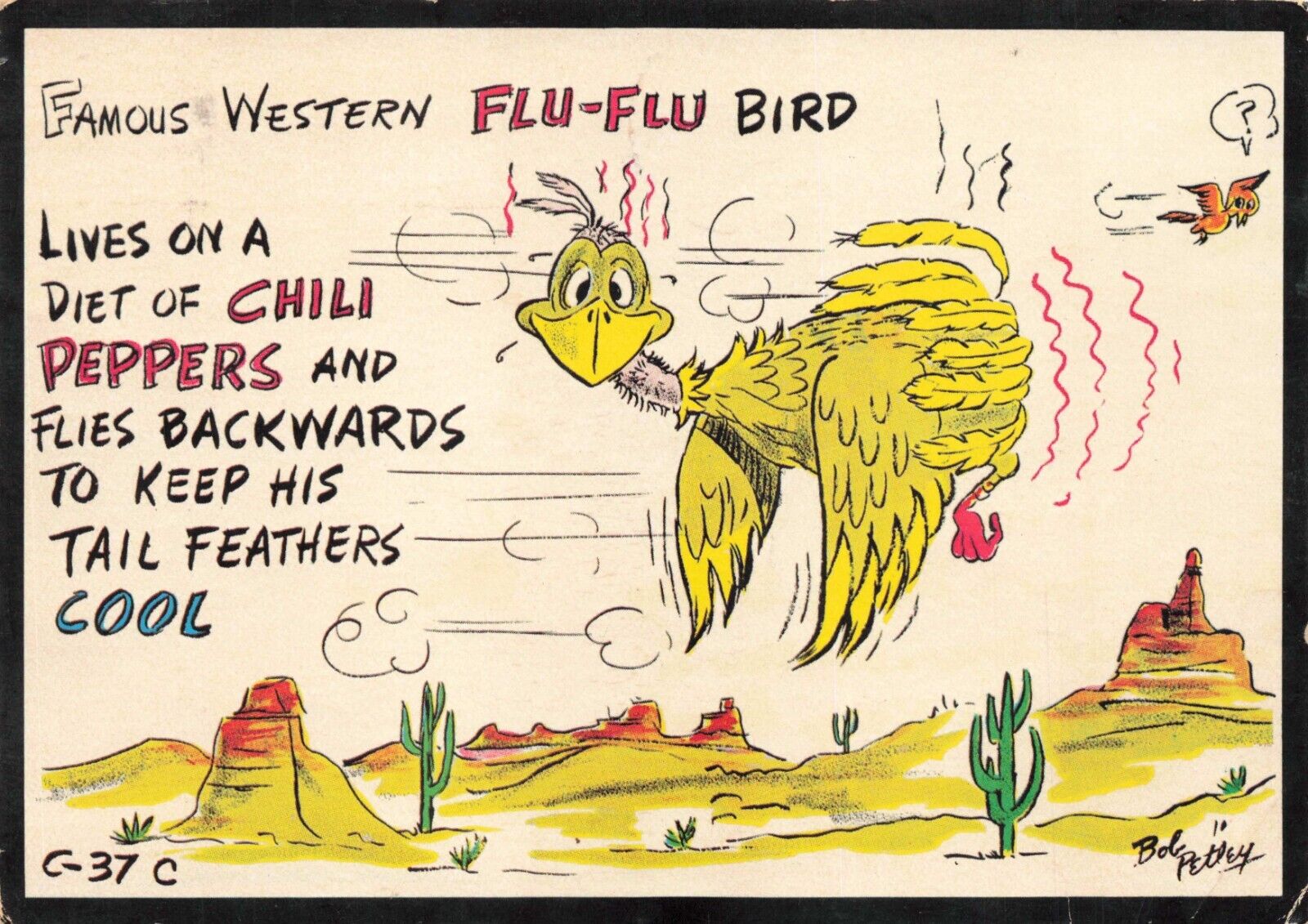 Postcard Famous Western Flu-Flu Bird Cactus Desert Comic Petley Southwestern USA