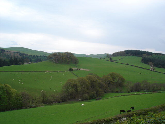 Photo 6x4 Prion hills Pant-pastynog Rolling hills leading away from the v c2006