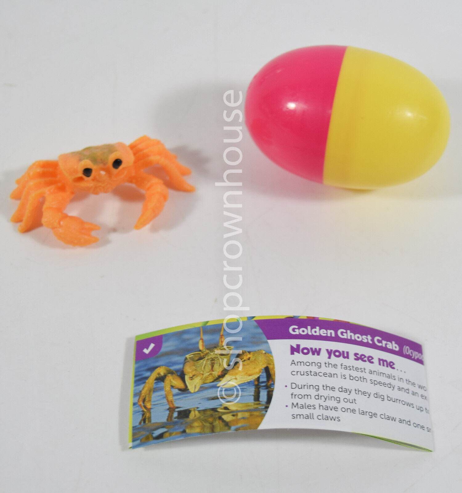 1 Yowie Endangered Species Mini Collectible Figurine w/ Egg - GOLDEN GHOST CRAB