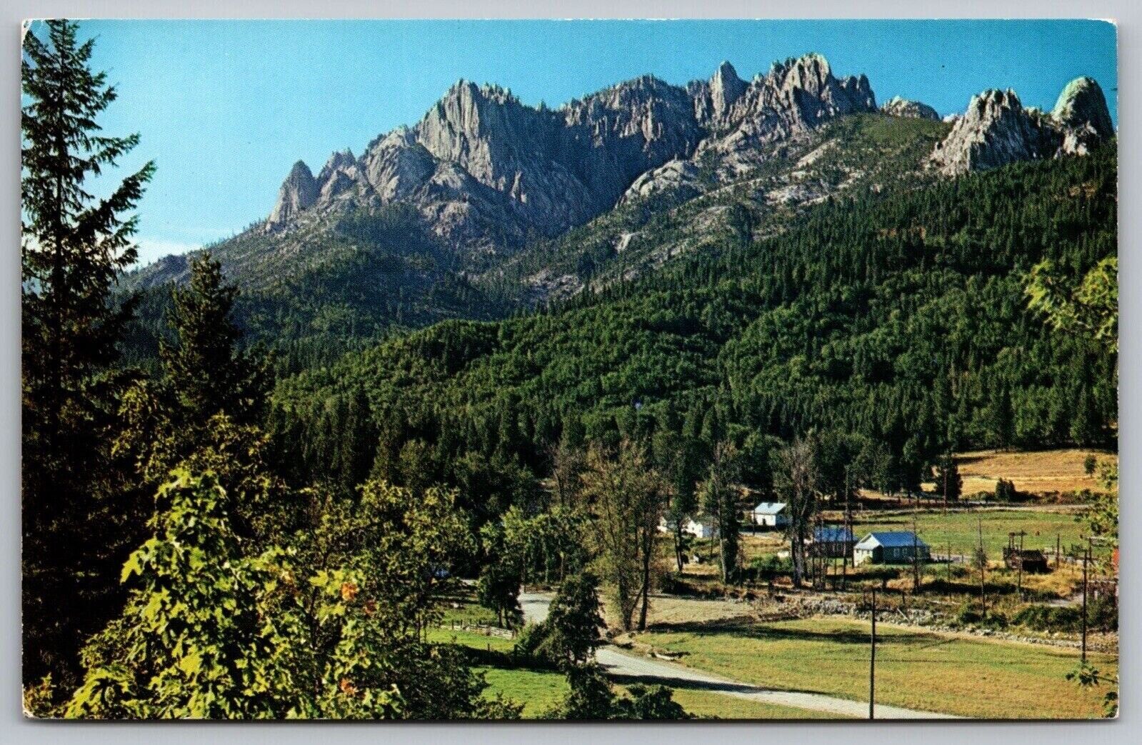 Castle Crags State Park California Forest Mountain Rock Formation VNG Postcard