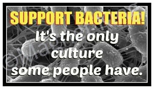 Fridge Magnet: SUPPORT BACTERIA - It's The Only Culture Some People Have.